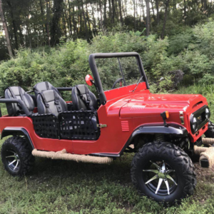 2018 New Diesel UTV 4x4 Mini ANWA UTV 150cc 200cc 250cc 300cc