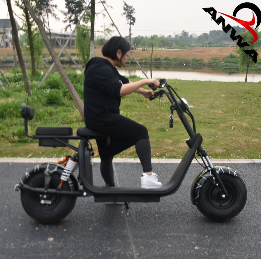 Factory made scooter citycoco 2000w 1500w two wheel on sale