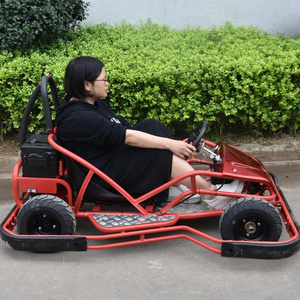 brushless 3000w/5000w 2 seater electric adult pedal go kart