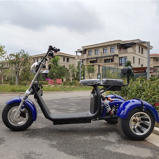 direct factory supplying 3 wheel electric mobility scooter with sidecar