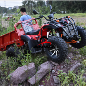 farm vehicle 250c Utility ATV Automatic UTV 4x4 with High&low gears LED roof lights