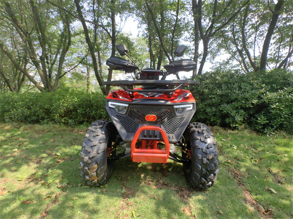 4 wheeler 2 stroke mini quad atv 49cc 50cc 110cc 125cc for kids,kids gas powered atv 50cc 49cc