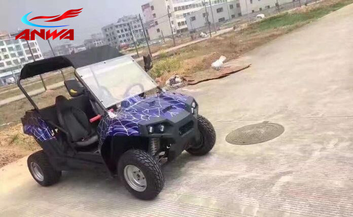 China ANWA 2017 Cheap Kids 200CC Side by Side UTV/ATV Buggy 4x4 for sale