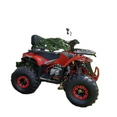 4 wheeler 2 stroke mini quad atv 49cc 50cc 110cc 125cc for kids,kids gas powered atv 50cc 49cc