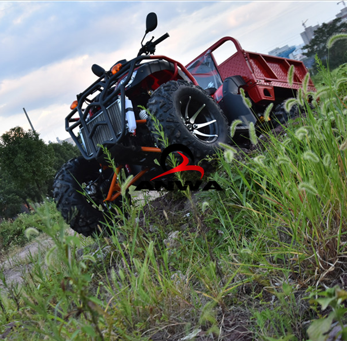 250cc 2WD/4WD ATV 4X4 Water Cooled 2 Seater CVT Four Wheel