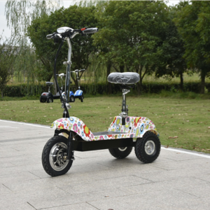 500W Zappy Electric Tirke Three Wheels Electric Scooter With Seat