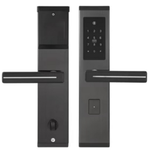 Biometric Anti-theft High Recognition Fingerprint Password Screen Tuya TTlock Home Apartment Smart Door Lock