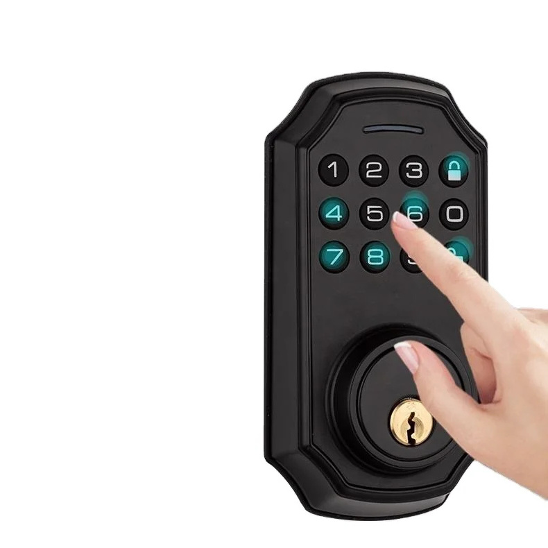 TTlock Smart Door Lock Ultra Narrow Gate Lock with BLE App Control and Fingerprint Technology