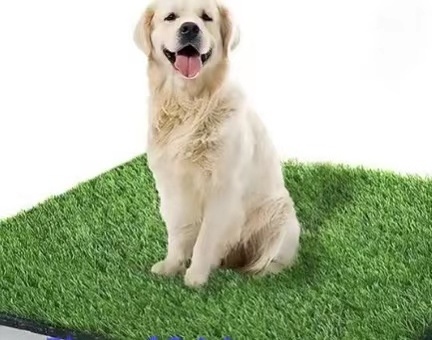 Pet and Kids  Friendly 15-60mm olive green  grass lawn artificial turf customizable  synthetic grass mat