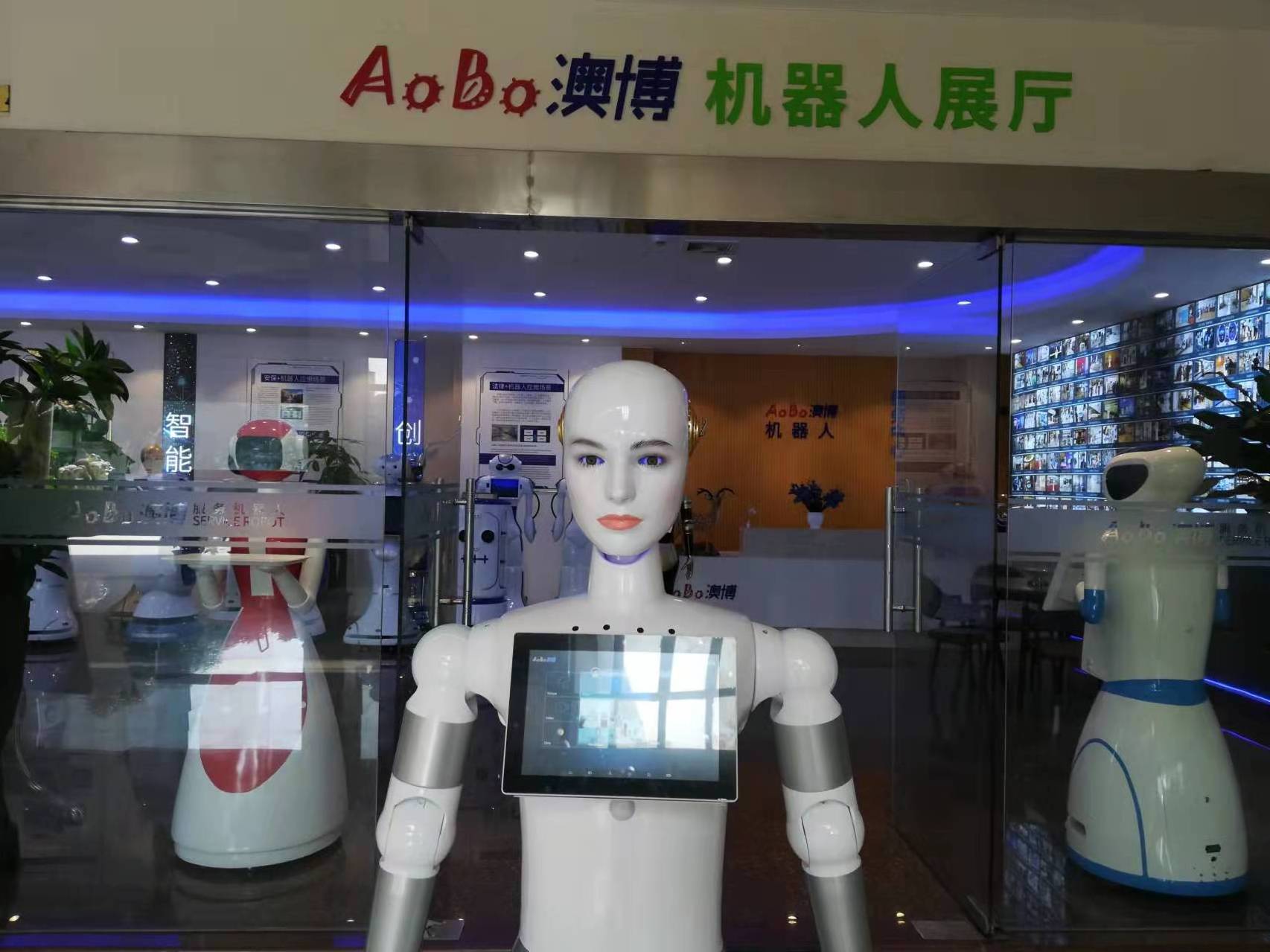 humanoid female robots can be used in university, shopping mall, school, exhibition hall, museum.