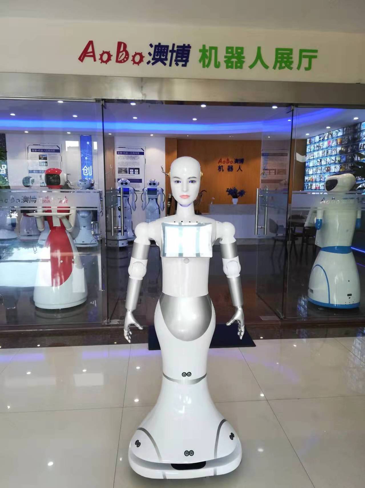 humanoid female robots can be used in university, shopping mall, school, exhibition hall, museum.