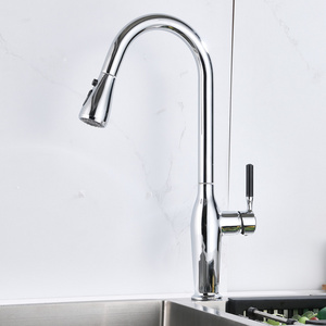 Chrome Single Handle Thermostatic Kitchen Sink Faucet Pull Out Kitchen Spray Faucet,Hose Extension