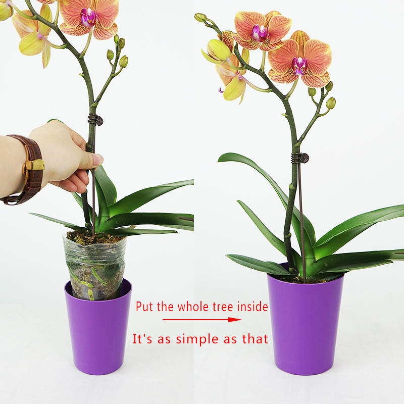 Creative Butterfly Orchid Pot Red Palm Orchid White Palm Orchid Plastic Flower Pot Horticultural Green Plants