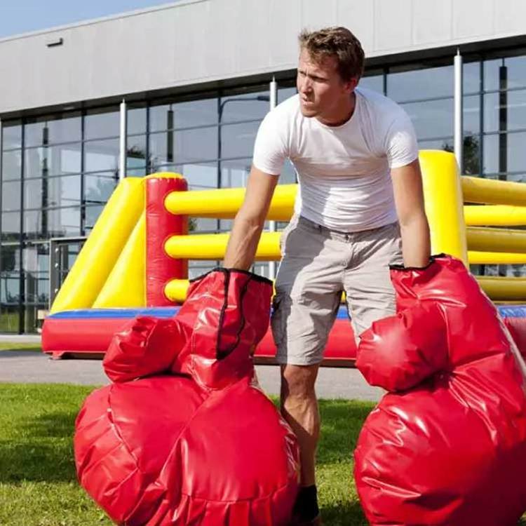 Interactive Outdoor Kids Small New Inflatable Wrestling Boxing Ring Game