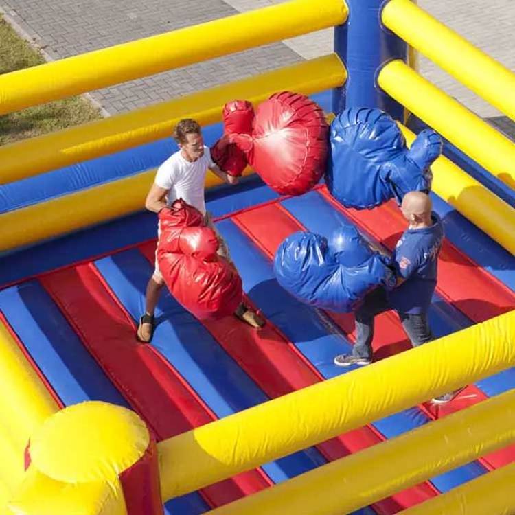 Interactive Outdoor Kids Small New Inflatable Wrestling Boxing Ring Game