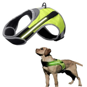 Light Up Dog Harness with LED Light Dog Vest for Night Walking-Reflective Illuminated Harness for Extra Visibility