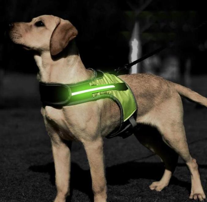 Light Up Dog Harness with LED Light Dog Vest for Night Walking-Reflective Illuminated Harness for Extra Visibility