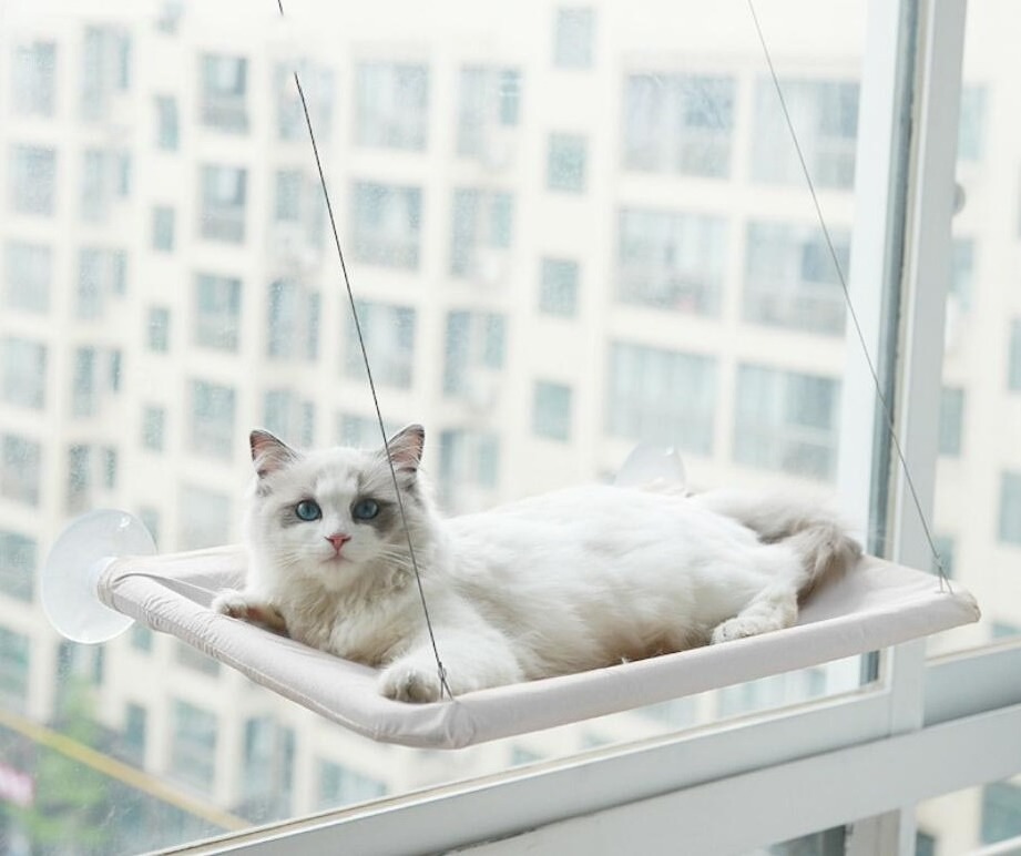 New Product Breathable Cat Window Hammock Indoor Space Saving Window Mounted Cat Bed