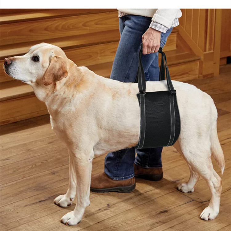 Hot Sale Dog Support Lift Harness Dog Sling for Rear Legs Helps Elderly Dogs with Reduced Mobility