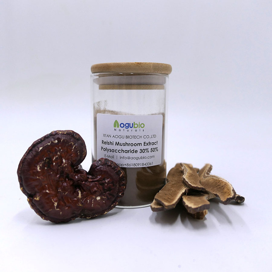 Organic Reishi Capsules OEM Lingzhi/Ganoderma Lucidum/Reishi Mushroom Extract Capsules