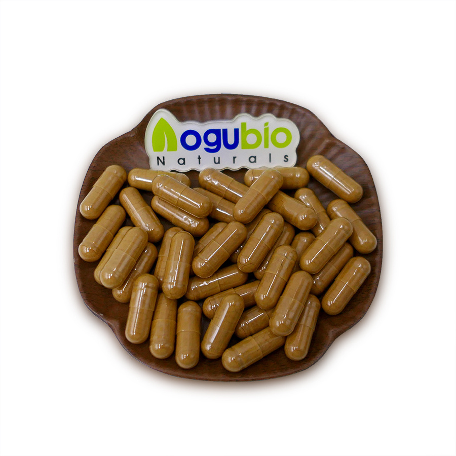 AOGUBIO supply Organic shiitake mushroom extract powder