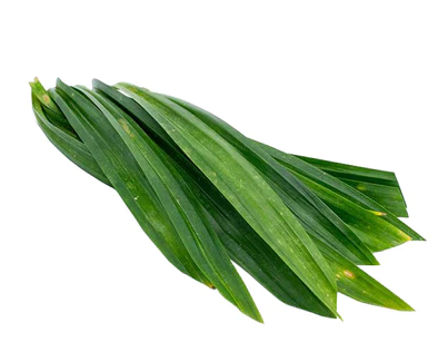 Natural Organic Food Grade Pandan Leaf Extract