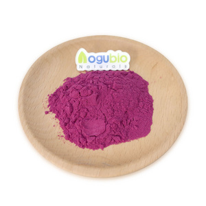 High quality natural juice powder aronia berry powder