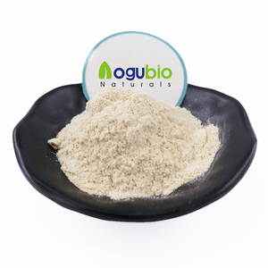 Factory Natural Docosahexaenoic Acid Schizochytrium Algal Oil DHA Powder