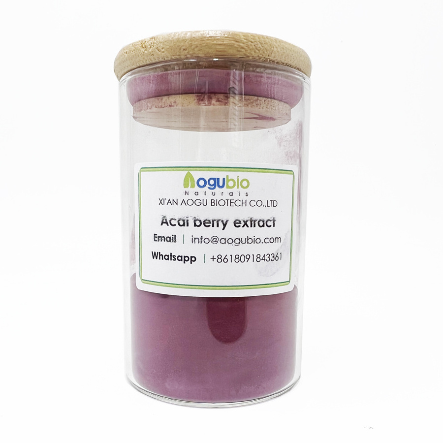 High Quality Wild berry powder aronia berry juice powder aronia powder