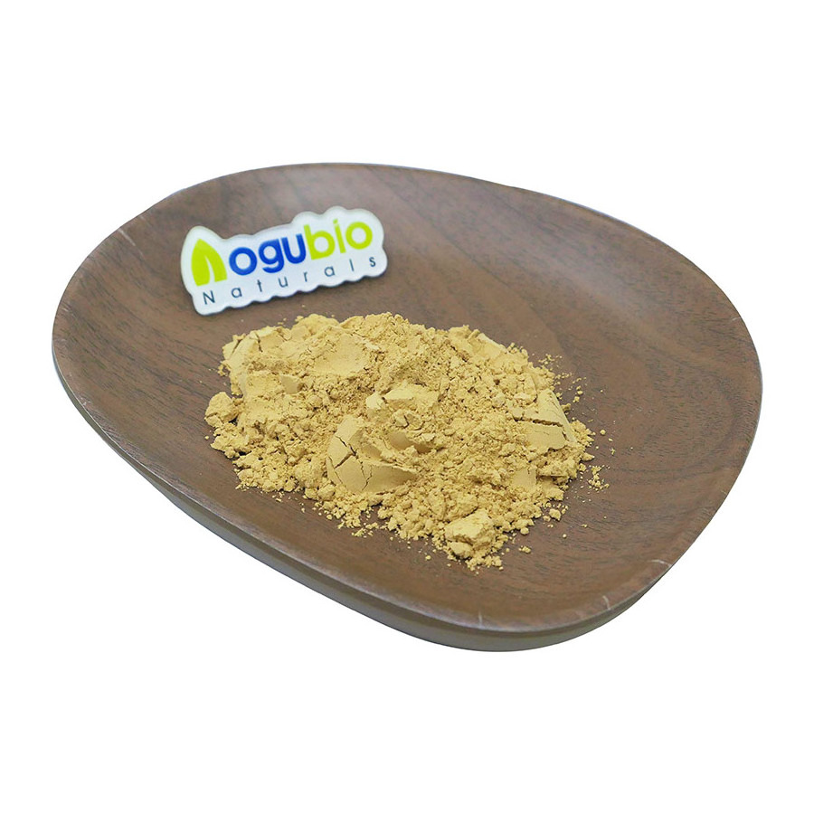 Plant extract food grade organic fresh matsutake mushroom powder