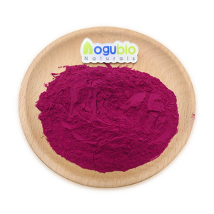 High Quality Wild berry powder aronia berry juice powder aronia powder