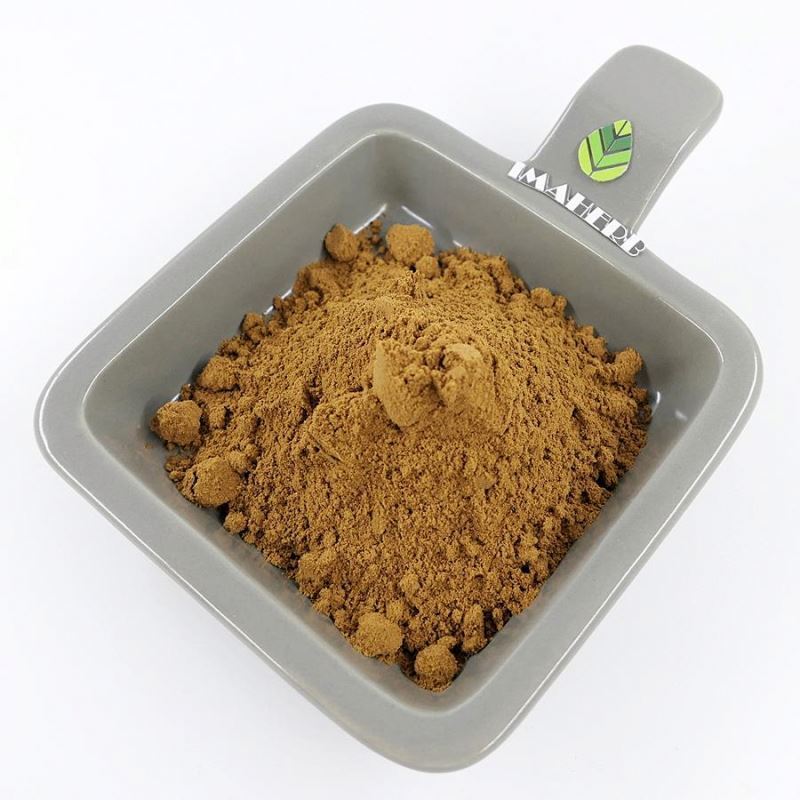 High quality agrocybe aegerita mushroom extract powder