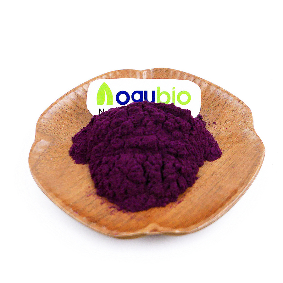 Hot sale natural pigment Black Purple Carrot Juice Concentrate Powder natural beta carotene powder carrot extract