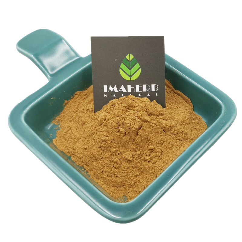 Plant extract food grade organic fresh matsutake mushroom powder