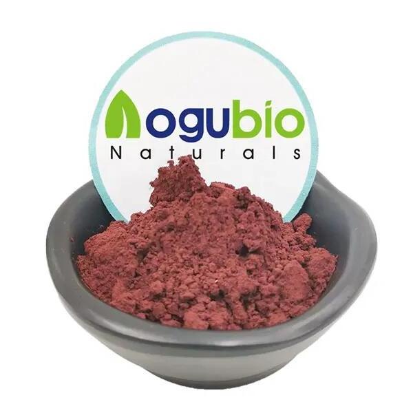 Aogubio Red Algae Powder Palmaria Palmata Extract Dulse Seaweed Powder Dried Dulse Seaweed Extract Powder