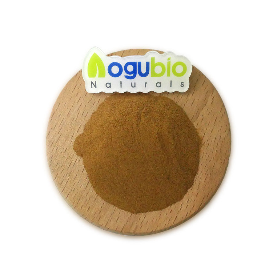 High Quality Rosemary extract Powder Natural Rosmarinic Acid 5%-95% Rosemary Leaf Extract Powder