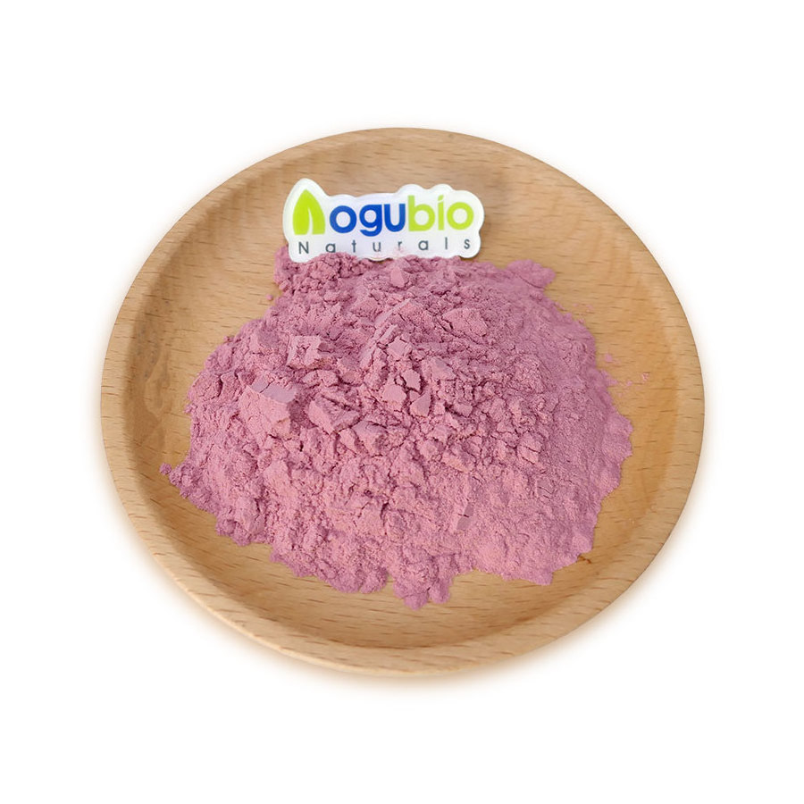 Factory Supply Organic Rose Extract Powder Instant Rose Flower Powder