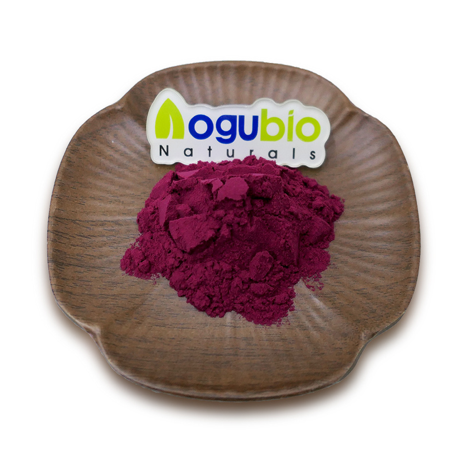 Bulk Natural Organic Wild Berry Powder High Quality Aronia Berry Powder Aronia Powder