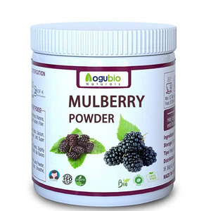 Food Grade Natural Mulberry Extract Organic Mulberry Powder White Powder