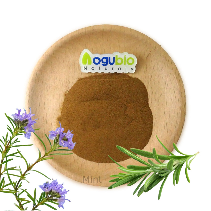 High Quality Rosemary extract Powder Natural Rosmarinic Acid 5%-95% Rosemary Leaf Extract Powder