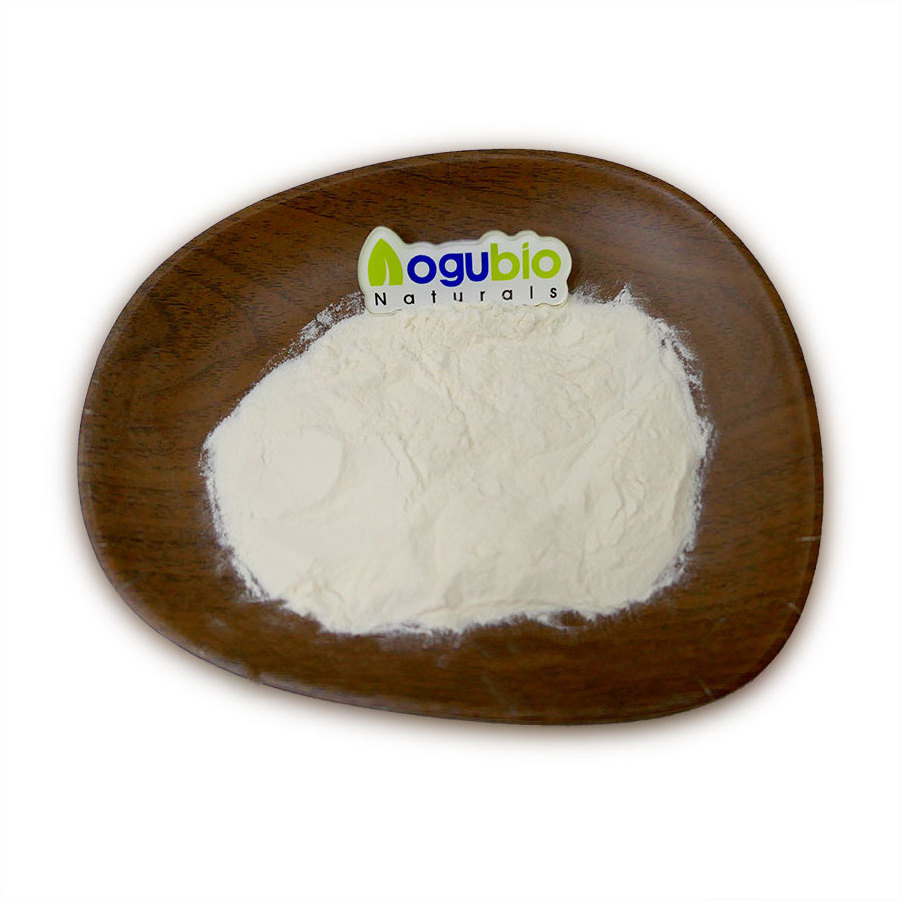 Aogubio Coconut Milk Powder Wholesale Price Bulk Coconut Milk Powder Coconut Cream Powder