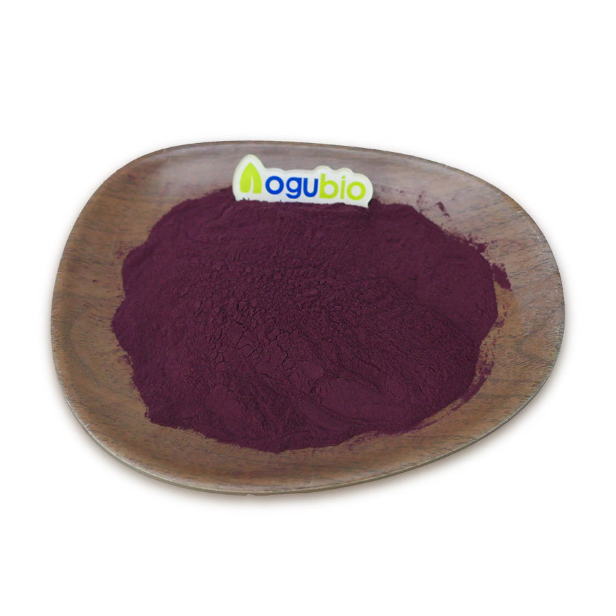 Aogubio Maqui Berry Powder Maqui Fruit Powder 98% Maqui Berry Extract