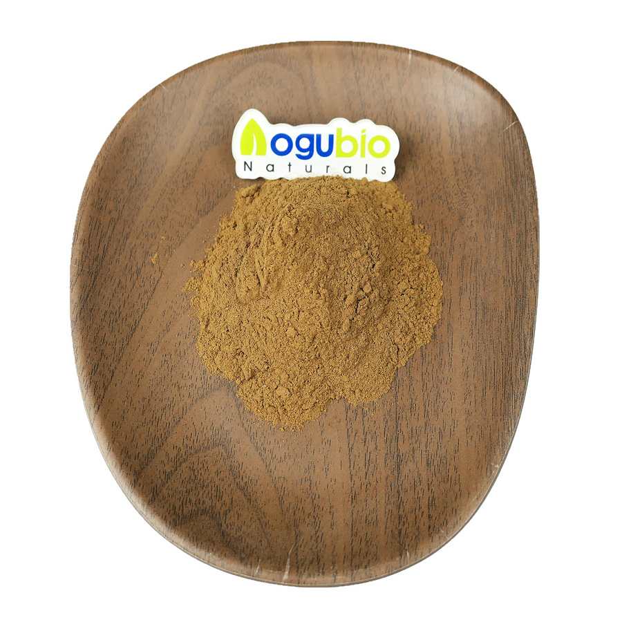 High Quality Guava Leaf Extract Organic Pure Guava Leaf Extract Powder