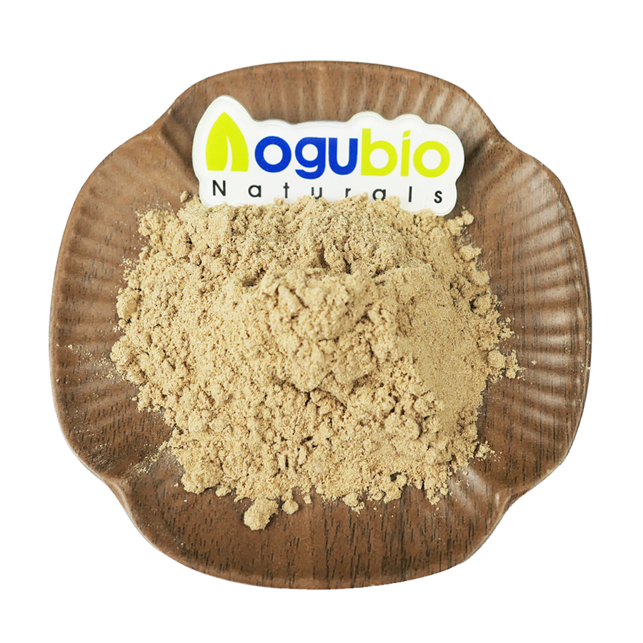 Top Quality Sophora Japonica Flower Bud Extract 95 Rutin Powder