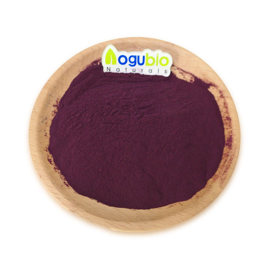 Aogubio Maqui Berry Powder Maqui Fruit Powder 98% Maqui Berry Extract