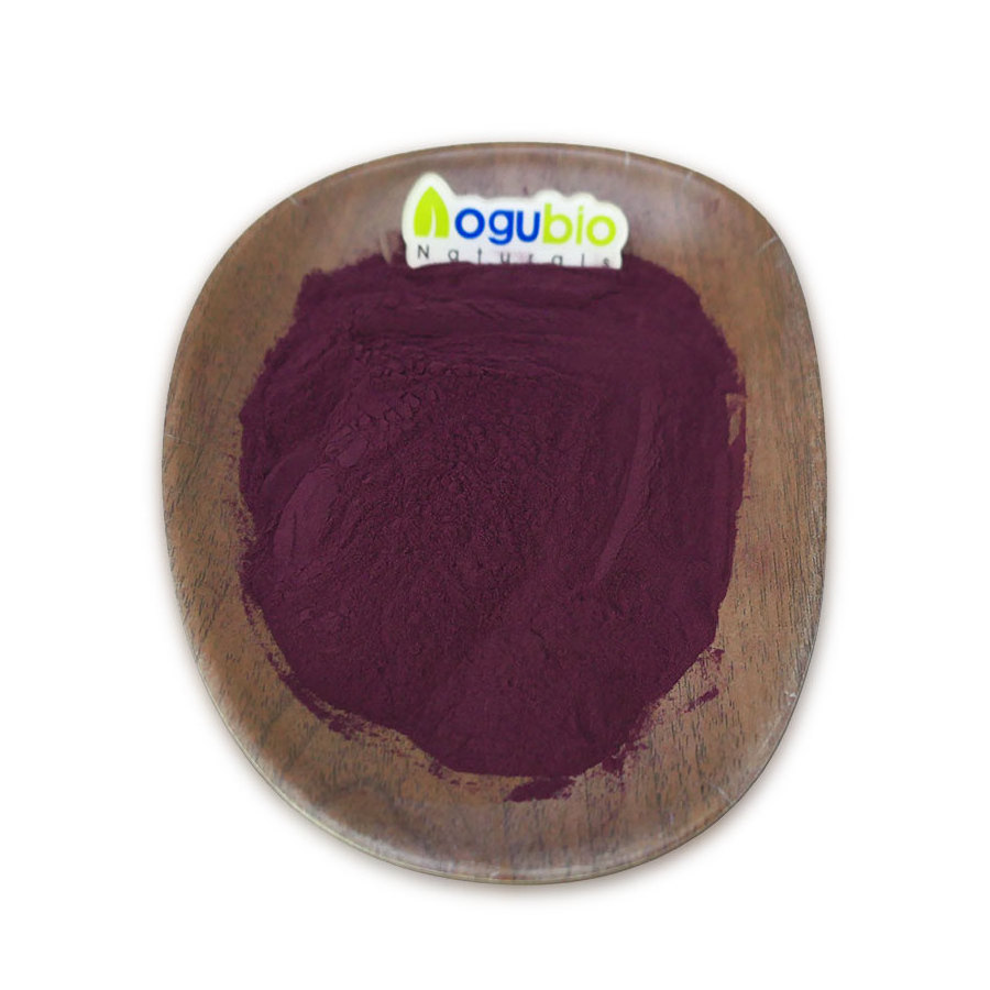 Aogubio Maqui Berry Powder Maqui Fruit Powder 98% Maqui Berry Extract