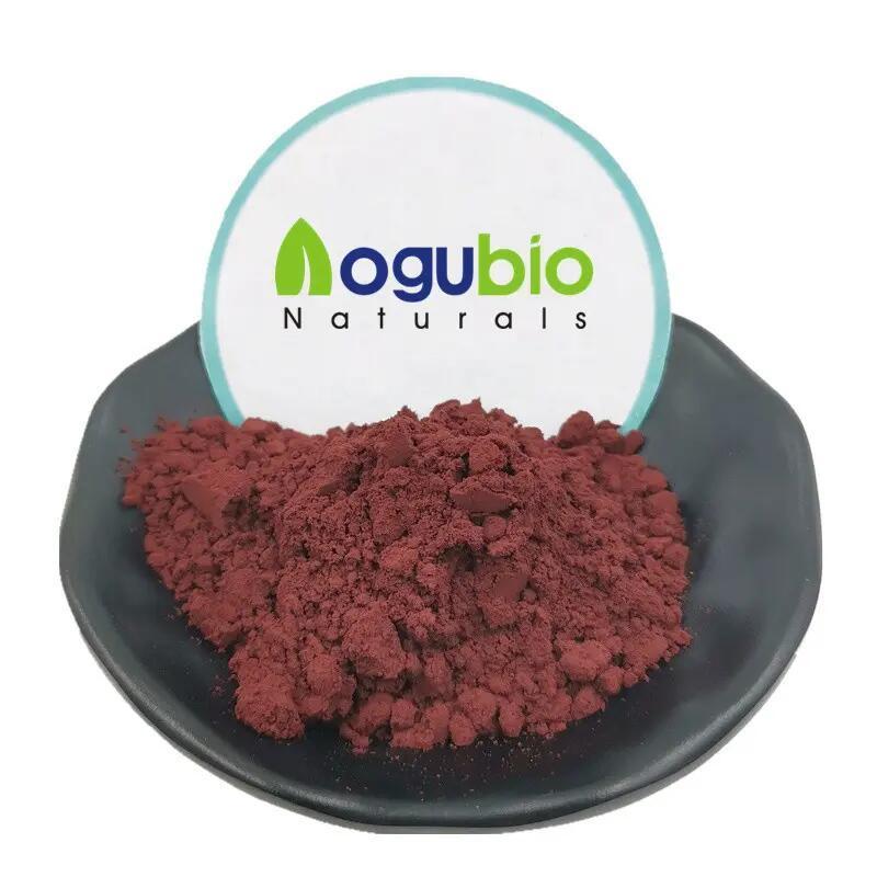 Aogubio Red Algae Powder Palmaria Palmata Extract Dulse Seaweed Powder Dried Dulse Seaweed Extract Powder