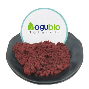 Aogubio Red Algae Powder Palmaria Palmata Extract Dulse Seaweed Powder Dried Dulse Seaweed Extract Powder