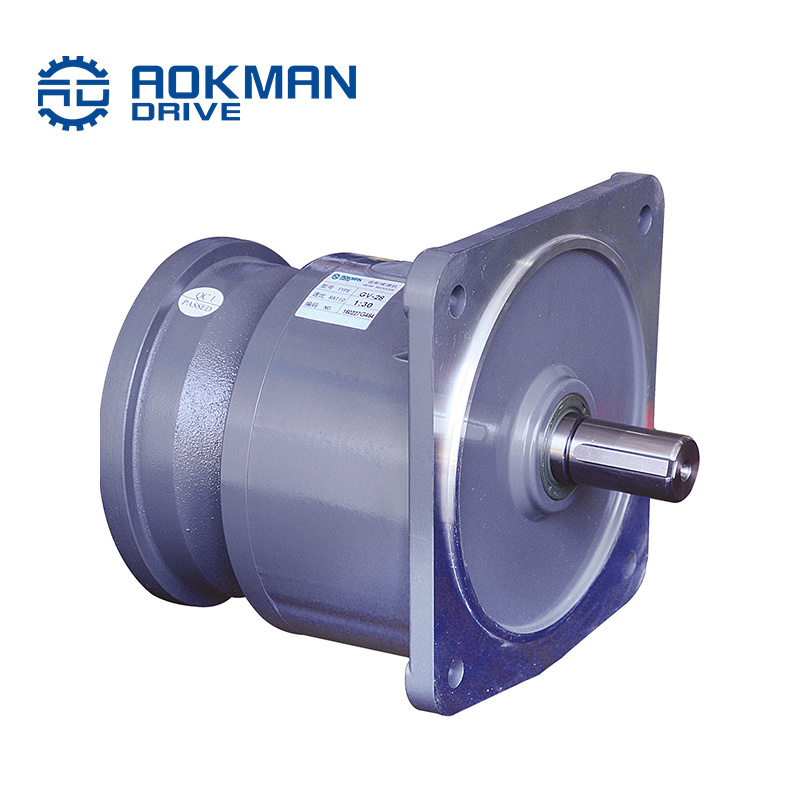 G Series helical GearMotor Industrial cast iron shaft mounted motor speed reducer gearbox for the belt conveyor