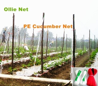 Plant Climbing net. cucumber net.support net